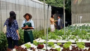 ภาพประกอบเว็บไซต์
