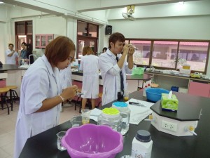 ภาพประกอบเว็บไซต์