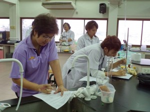 ภาพประกอบเว็บไซต์