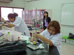 ภาพประกอบเว็บไซต์