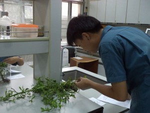 ภาพประกอบเว็บไซต์