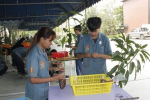 ภาพประกอบเว็บไซต์