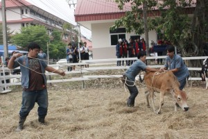 ภาพประกอบเว็บไซต์
