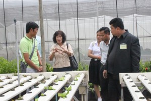 ภาพประกอบเว็บไซต์