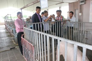 ภาพประกอบเว็บไซต์