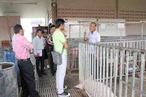 ภาพประกอบเว็บไซต์