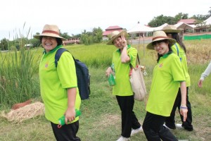 ภาพประกอบเว็บไซต์