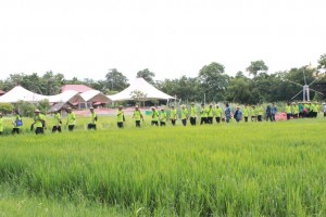ภาพประกอบเว็บไซต์