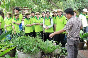 ภาพประกอบเว็บไซต์