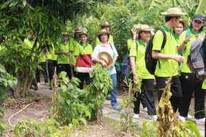 ภาพประกอบเว็บไซต์