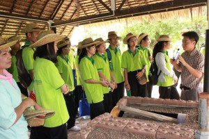 ภาพประกอบเว็บไซต์