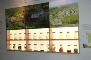 ภาพประกอบเว็บไซต์