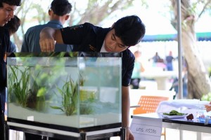 ภาพประกอบเว็บไซต์