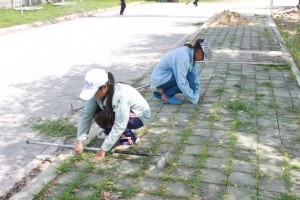 ภาพประกอบเว็บไซต์