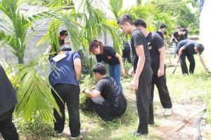 ภาพประกอบเว็บไซต์