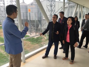 ภาพประกอบเว็บไซต์