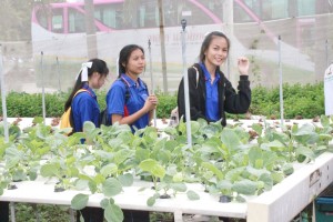 ภาพประกอบเว็บไซต์