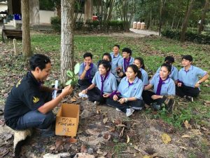 ภาพประกอบเว็บไซต์