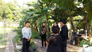 ภาพประกอบเว็บไซต์