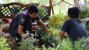 ภาพประกอบเว็บไซต์