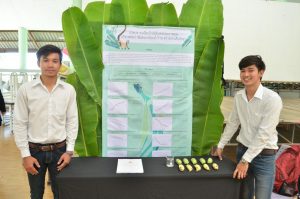ภาพประกอบเว็บไซต์