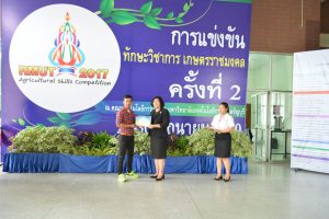 ภาพประกอบเว็บไซต์