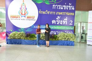 ภาพประกอบเว็บไซต์