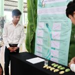 ภาพประกอบเว็บไซต์