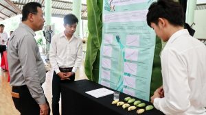 ภาพประกอบเว็บไซต์
