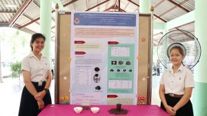 ภาพประกอบเว็บไซต์