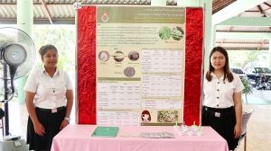 ภาพประกอบเว็บไซต์