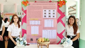 ภาพประกอบเว็บไซต์