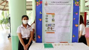 ภาพประกอบเว็บไซต์