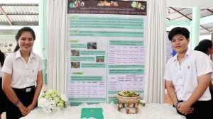 ภาพประกอบเว็บไซต์