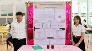 ภาพประกอบเว็บไซต์