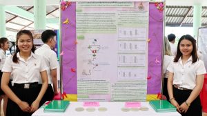 ภาพประกอบเว็บไซต์