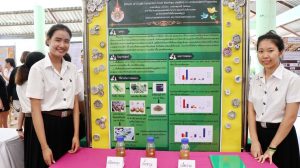 ภาพประกอบเว็บไซต์
