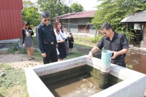 ภาพประกอบเว็บไซต์