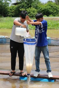 ภาพประกอบเว็บไซต์