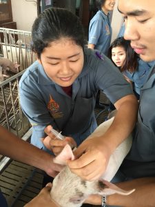 ภาพประกอบเว็บไซต์