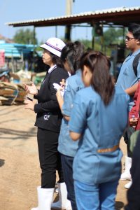 ภาพประกอบเว็บไซต์