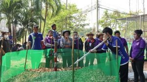 ภาพประกอบเว็บไซต์