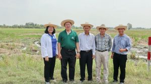 ภาพประกอบเว็บไซต์