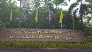 ภาพประกอบเว็บไซต์