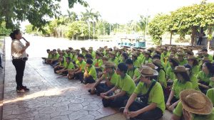 ภาพประกอบเว็บไซต์