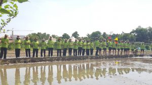 ภาพประกอบเว็บไซต์