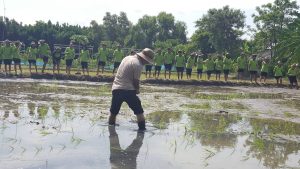 ภาพประกอบเว็บไซต์