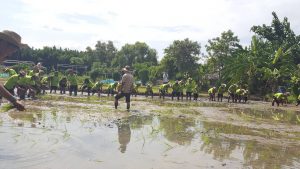 ภาพประกอบเว็บไซต์