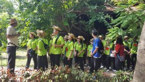 ภาพประกอบเว็บไซต์