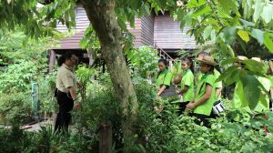 ภาพประกอบเว็บไซต์